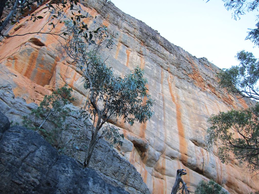 Grampians