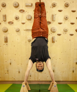 KletterRetter Parallettes