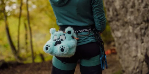 YY Vertical Bear